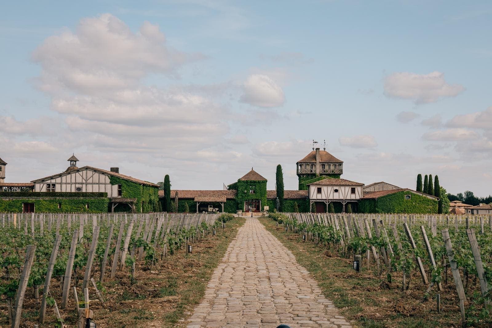 Allée pavée traversant un vignoble et menant à un château couvert de lierre